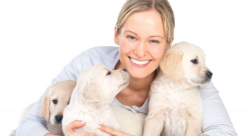 The Benefits of Using a Pet Sitting Service