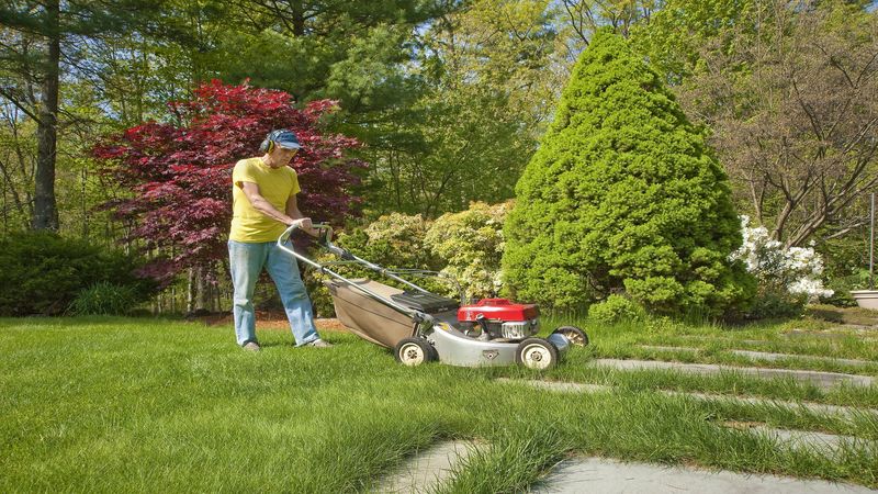 How to Keep Your Yard Looking Its Best with Flower Bed Maintenance in Baton Rouge