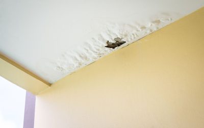 Protect Your Little Rock Home: Basement Waterproofing In Little Rock AR
