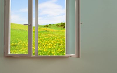 The Enduring Value Of Choosing Wood Windows In Charleston SC For Your Home