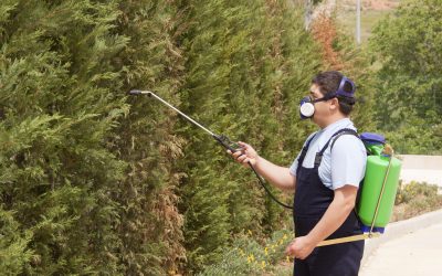 Achieve Effortless Lawn Care Results with Battery Weed Sprayers for Homeowners