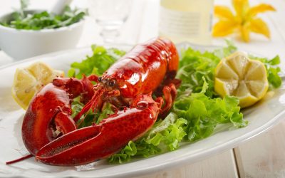 Quality Standards You Can Trust from a Frozen Seafood Distributor in New York Businesses Choose