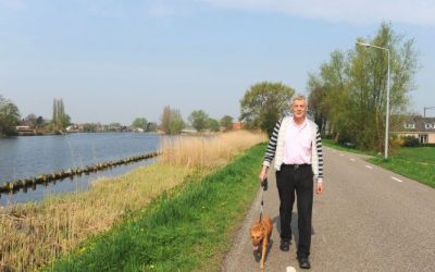 Pet Owners Find Peace Of Mind With Dog Walking In NYC Options Tailored For Busy City Schedules