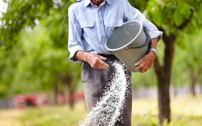 Simple Aquatic Weed Control Tips to Restore Waterways