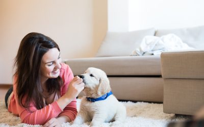 Preparing Your Dog for Upper East Side Day Care Services in USA